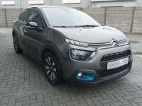 Obraz 3