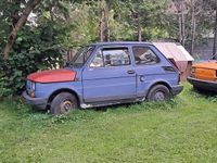 Obraz 1