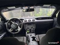 używany Ford Mustang GT 