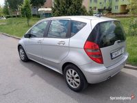 Obraz 3