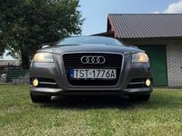 Obraz 3
