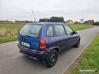 Obraz 3
