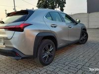 używany Lexus UX 