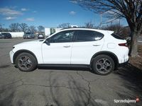 używany Alfa Romeo Stelvio 2021 2.0 280