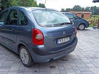 Obraz 3