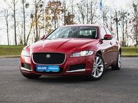 Używany Jaguar XF 180 KM (132 kW) 2015 Czerwony Sedan/Limuzyna