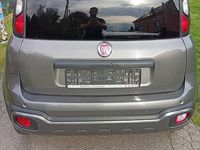 używany Fiat Panda Cross 2020