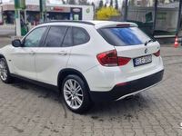 Obraz 3