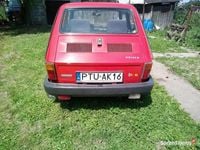 Obraz 3