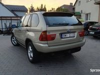 Obraz 3