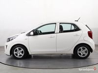 Używany Kia Picanto 2021 Biały Hatchback