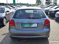 używany Audi A3 1.6 MPI, z Niemiec, (56)