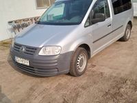 używany VW Caddy Maxi 