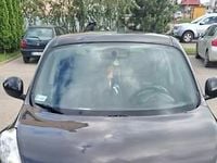 Obraz 3
