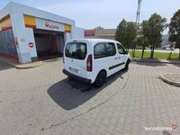 Obraz 3