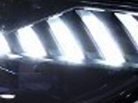 Obraz 3