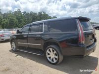 Używany Cadillac Escalade 2019 SUV