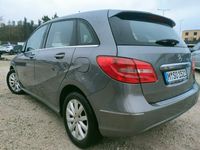 Obraz 3