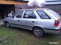 Obraz 3