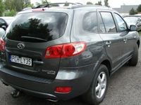 Obraz 3