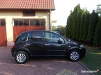 Obraz 3