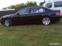 Używany BMW M4 2004 Coupe