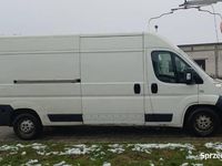Używany Fiat Ducato 2008 Biały Van