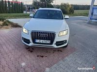 używany Audi Q5 
