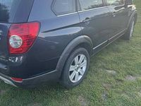 Obraz 3