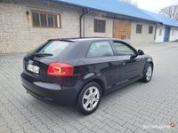 Obraz 3