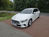 Obraz 1