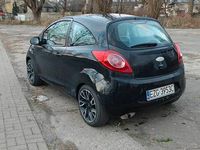 Obraz 3