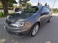 Obraz 1