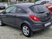 Obraz 3