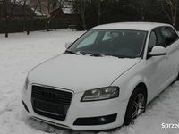 Używany Audi A3 2010 Biały Hatchback