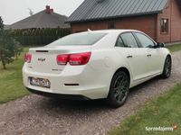 Obraz 3