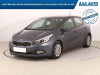 Obraz 3