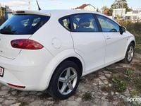 Obraz 3