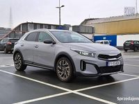 Nowe Kia XCeed 150 KM (110 kW) 2025 Szary SUV