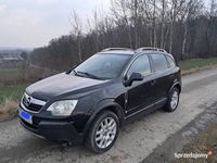 Obraz 3