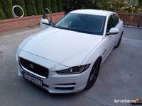Obraz 2