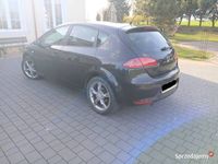 Obraz 3