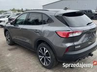 używany Ford Kuga 