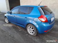 Obraz 3