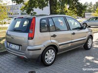 Obraz 3
