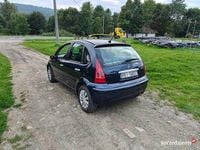 Obraz 3