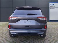 używany Ford Kuga III VIGNALE 2.0 Ecoblue 190 KM AWD Automat A8