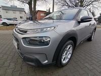 Używany Citroën C4 Cactus 102 KM (75 kW) 2019 Szary Hatchback