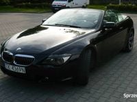 Obraz 3