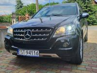 Obraz 3